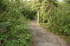 Hiking Trail