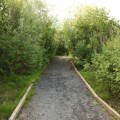 Hiking Trail