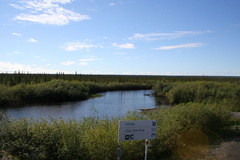 Wetland Marsh