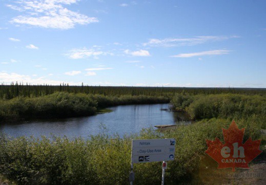 Wetland Marsh