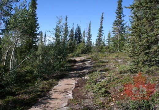 Hiking Trail