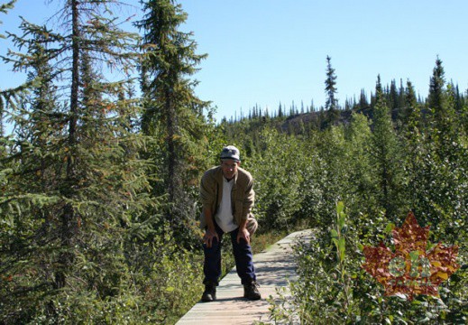 Boardwalk Trail
