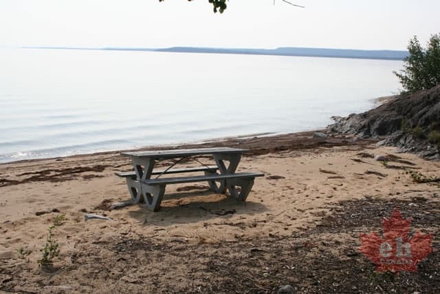 Picnic on the Beach