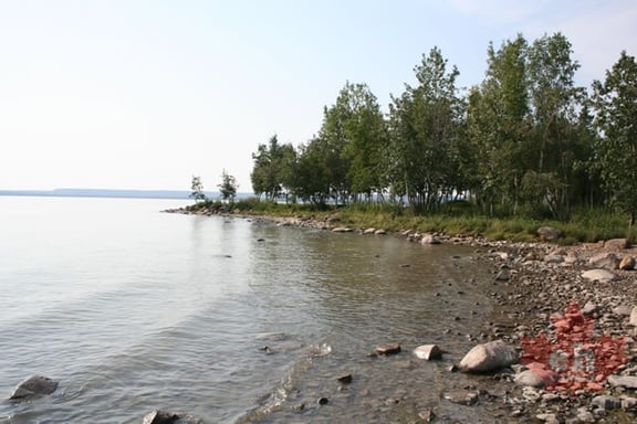 Beachcombing