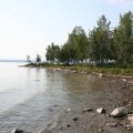 Beachcombing