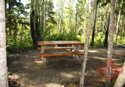 Resting Bench
