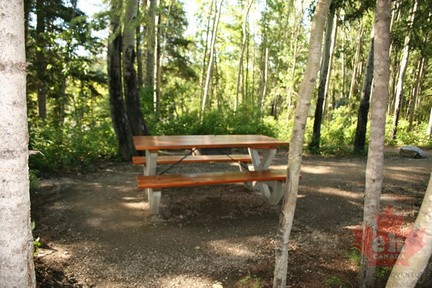 Resting Bench