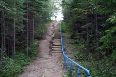 trail.jpg