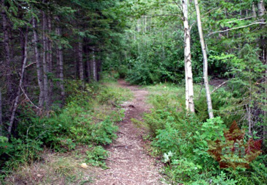 Side Trail