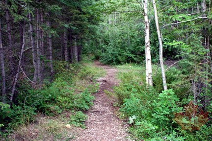 Side Trail