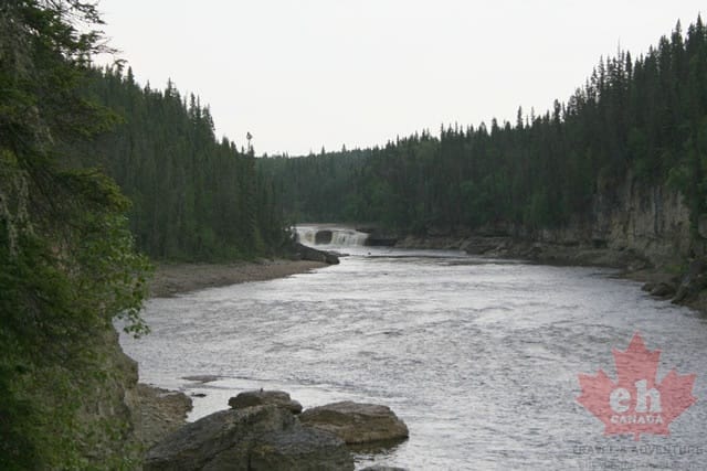 Trout River