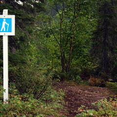 Trailhead (2818 visits) Trailhead to connector trail leading to base of falls Trailhead
