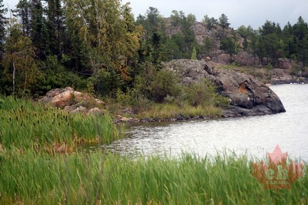 Shoreline