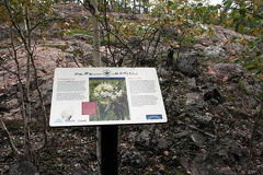 interpretive-sign.jpg