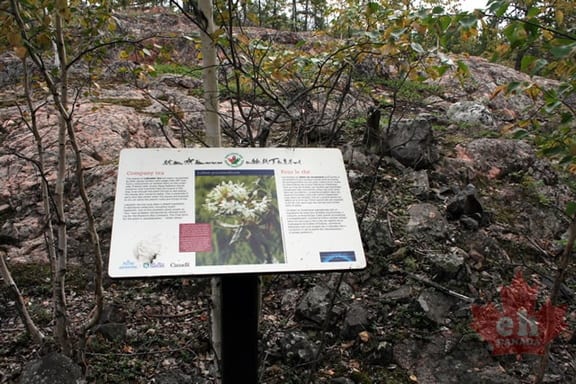 Interpretive Sign