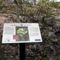 Interpretive Sign