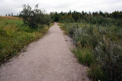 trail _2_.jpg