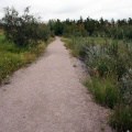 Recreation Trail