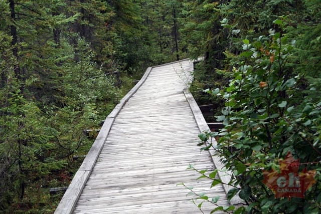 Boardwalk Trail