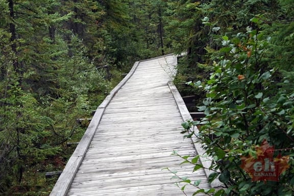 Boardwalk Trail
