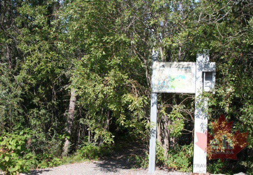 Information Box
