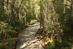 Boardwalk Trail