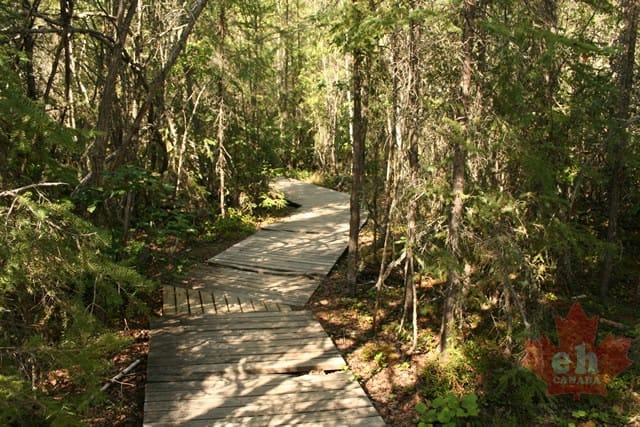 Boardwalk Trail
