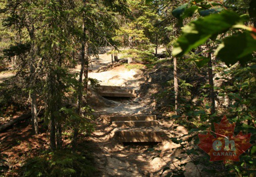 Hiking Trail