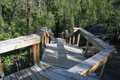cameron-falls-trail 010.jpg