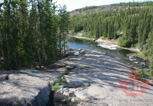 The Lookout