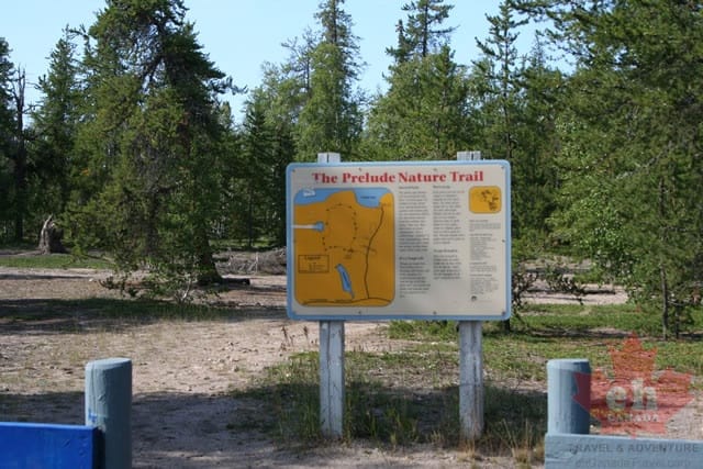 prelude-lake-trail 002.jpg