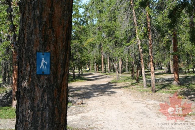 prelude-lake-trail 004.jpg