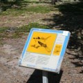 Interpretive Signs