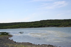 prosperous-lake 004.jpg