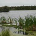 Niven Lake