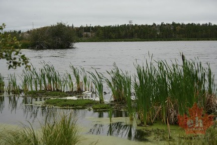 Niven Lake