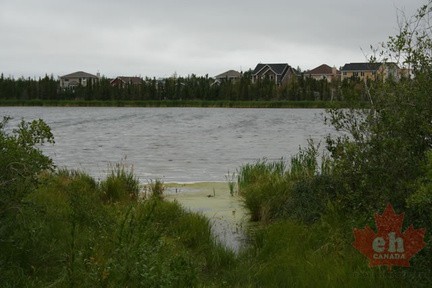 Niven Lake