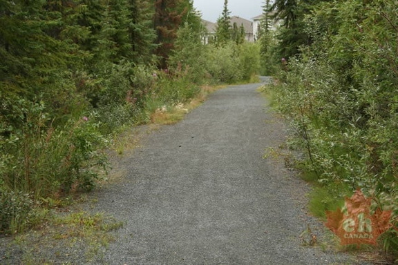 Hiking Trail