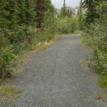 Hiking Trail