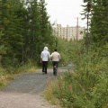 Walking