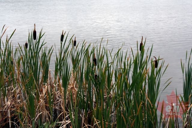 range-lake _2_.jpg