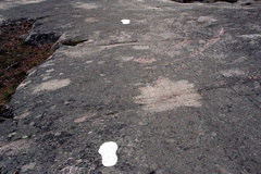 trail _3_.jpg