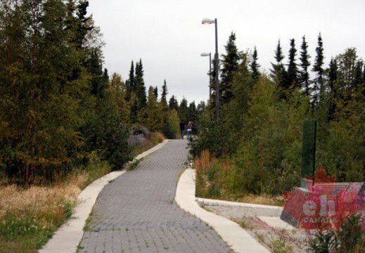 Community Path