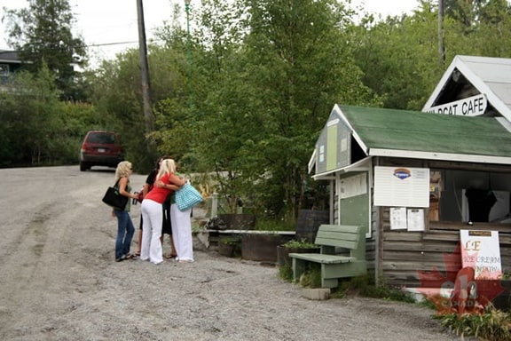 Wildcat Cafe