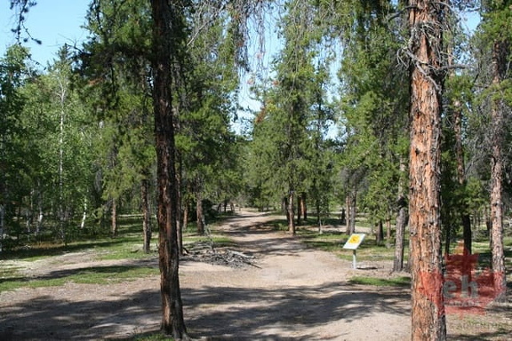 prelude-lake-trail 005
