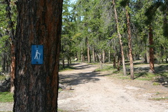 prelude-lake-trail 004
