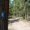 prelude-lake-trail 004