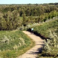 Recreation Trails in Bow Valley