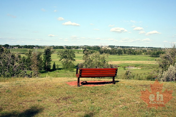 Bench Views