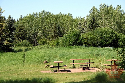 Picnic with Shannon